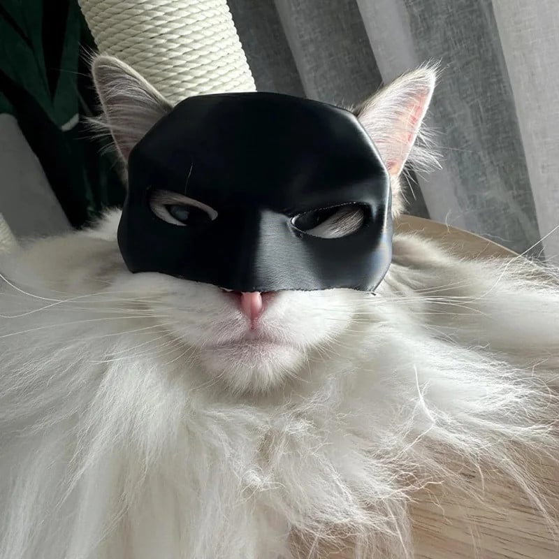 BatCat (Batman Mask For Cats)