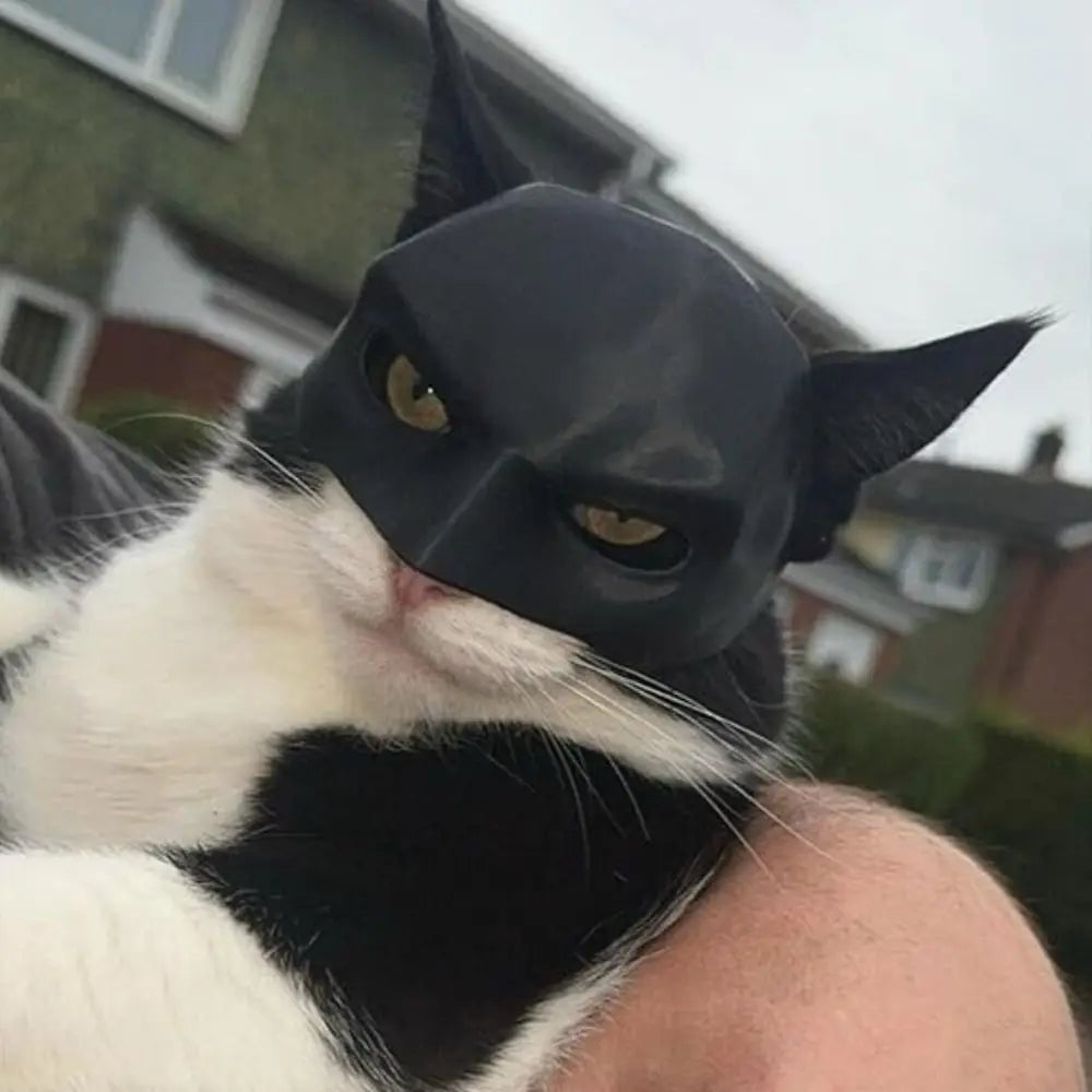 BatCat (Batman Mask For Cats)